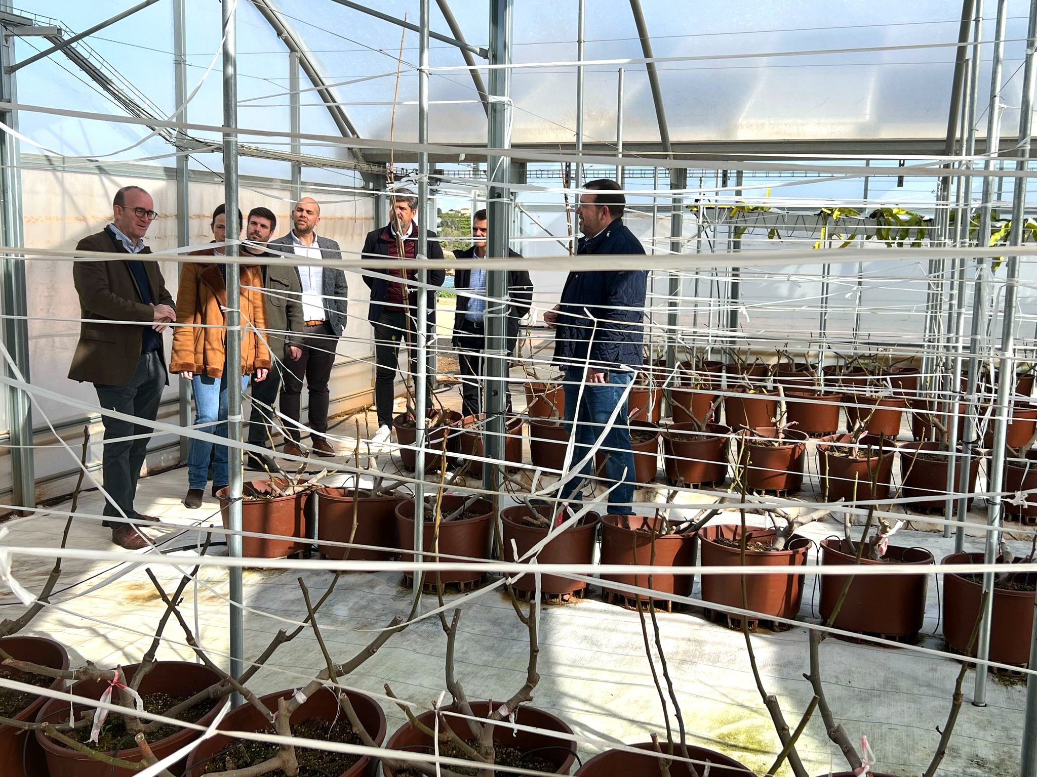 202503Marzo10-visitan instalación agrovoltaica Picassent Solar-INDEREN-05