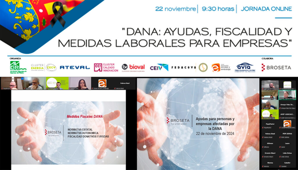 DANA AYUDAS-22 de noviembre-webinar-Cartel