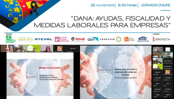 DANA AYUDAS-22 de noviembre-webinar-Cartel