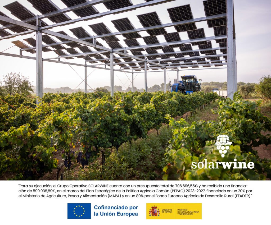 SolarWine_RRSS_Septiembre2025_Slide3.2 1-edit